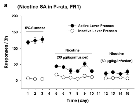 R-modafinil attenuates nicotine-taking and nicotine-seeking behavior in alcohol-preferring rats.