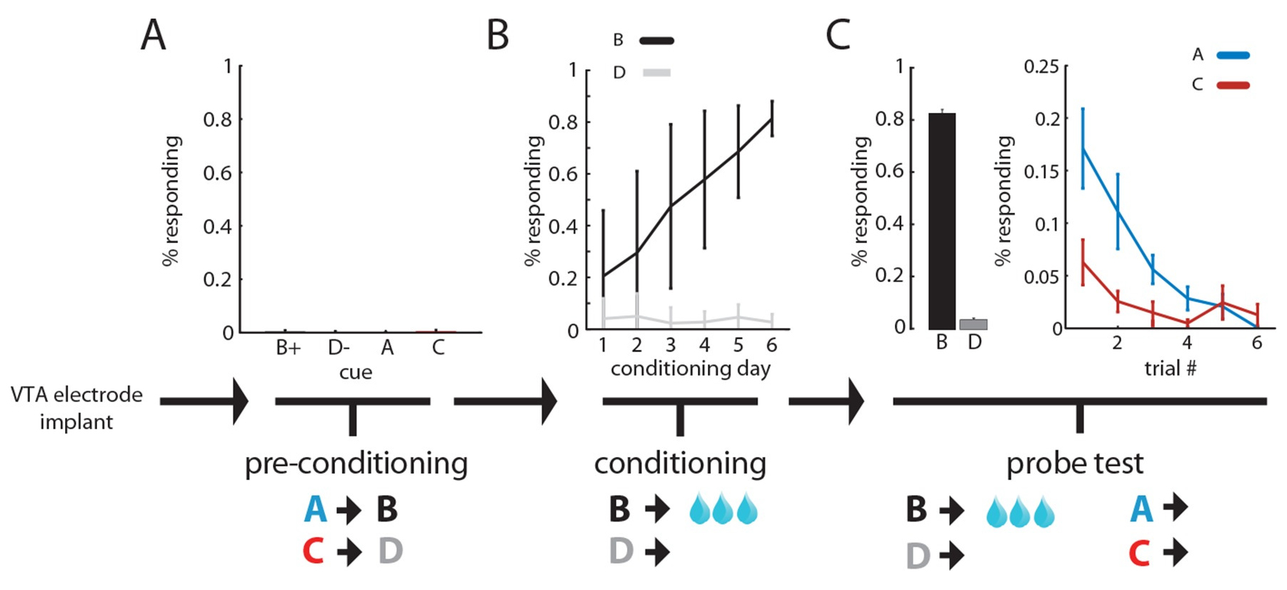 Midbrain dopamine neurons compute inferred and cached value prediction errors in a common framework.