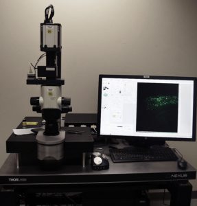 LaVision Biotech Ultramicroscope II