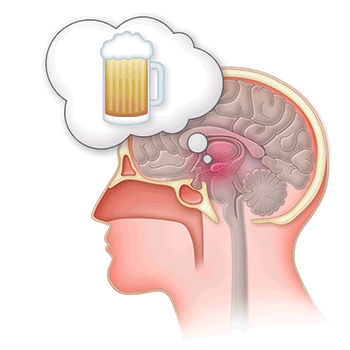 Oxytocin could help treat alcohol use disorder