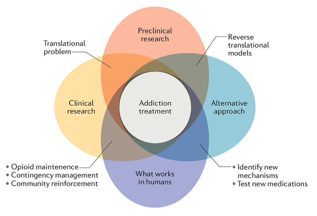 Improving translation of animal models of addiction and relapse by reverse  translation