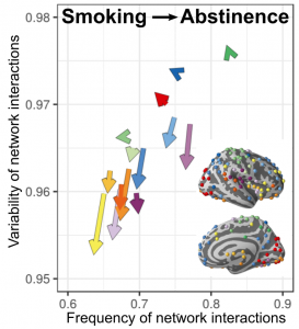 Smoking withdrawal leads to both whole-brain and network-specific decreases in brain dynamics.