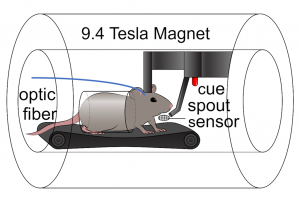 A figure from this study