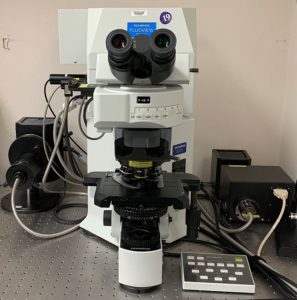 Olympus FV1000 Confocal Microscope
