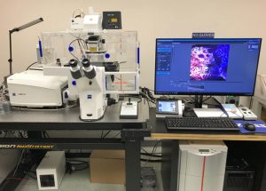 Zeiss LSM880 Airyscan/CY7.5 Confocal Microscope