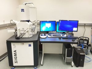 Zeiss Sigma VP Field Emission Scanning Electron Microscope (SEM) with Gatan 3View2 XP System