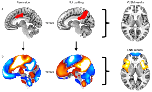 A portion of a figure from this study