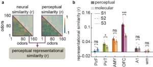 A figure from this study