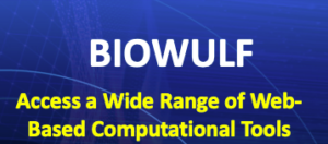 Image Link - Biowulf Access a Wide Range of Web-Based Computational Tools