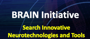 Image Link - BRAIN Initiative Search Innovative Neurotechnologies and Tools