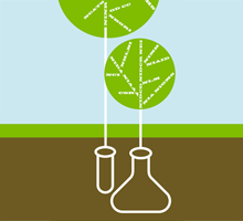 NIH Green Lab Logo