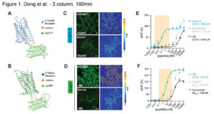 A portion of a figure from this study. Image copyright: Nature.