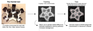 A figure from this paper. Image copyright Elsevier.