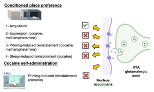 The graphical abstract for this study