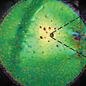 A portion of a figure from this article. Image copyright: Advanced Science (Weinh)