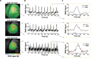 A figure from this article. Image copyright: Advanced Science (Weinh)