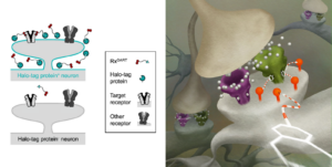 A figure from this study. Copyright: Nature