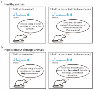 The graphical abstract for this study