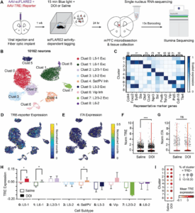 A figure from this article - Image copyright: Science