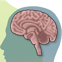 A portion of a figure from this study