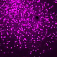 A portion of a figure from this article