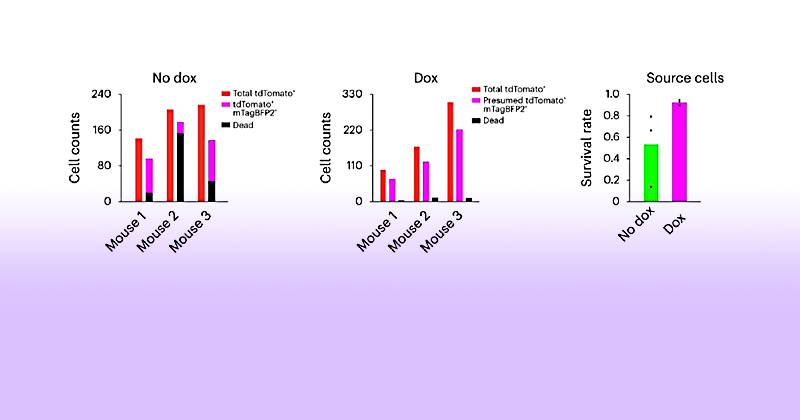 A portion of a figure from this study