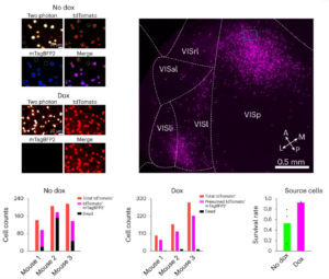 A figure from this article