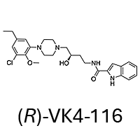 The molecule discussed in this review article